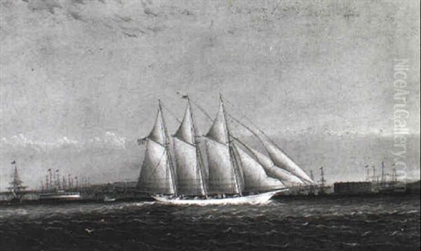 An American Schooner Off The Battery, New York Harbour Oil Painting by James Edward Buttersworth