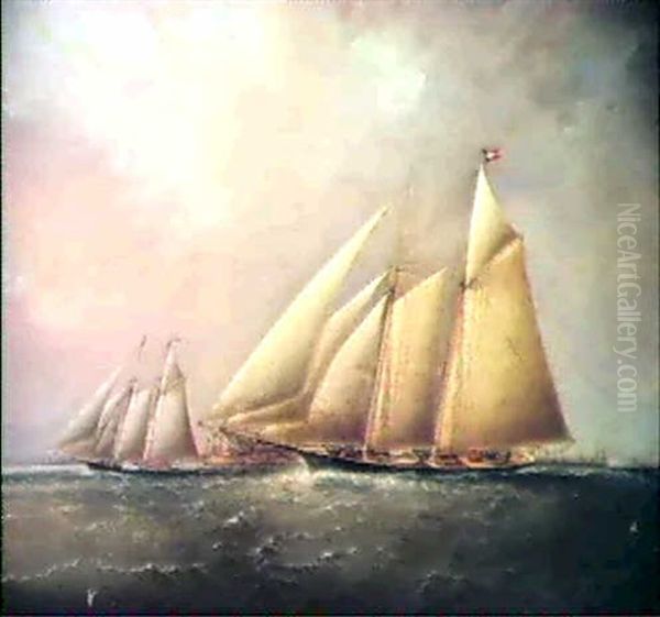 Yachting In New York Harbor Oil Painting by James Edward Buttersworth