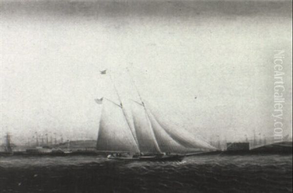 A Schooner In Upper New York Bay Oil Painting by James Edward Buttersworth