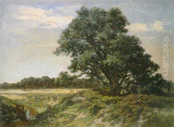 The Big Tree, Gardiners Creek Oil Painting by Abraham Louis Buvelot