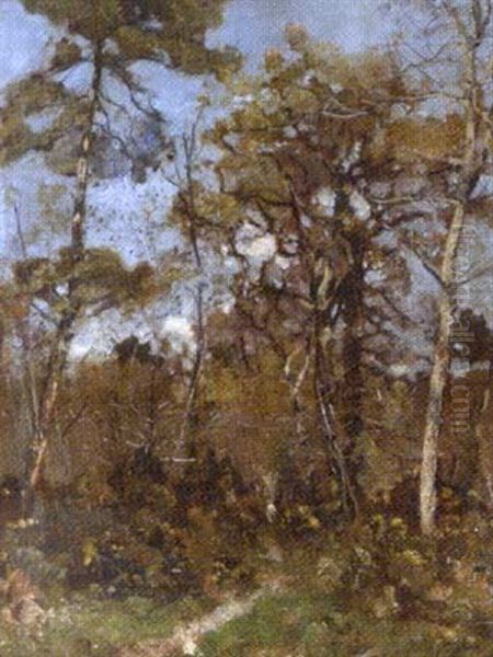 Les Sous Bois En Automne Oil Painting by Louis Alexandre Cabie