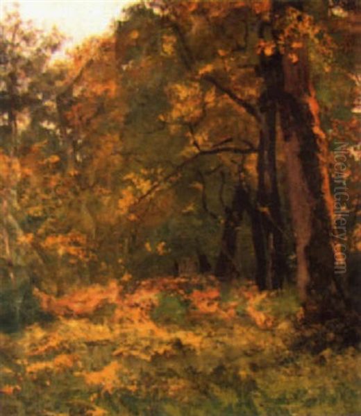 Sous-bois D'automne Oil Painting by Louis Alexandre Cabie