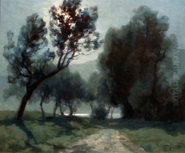 Le Chemin Du Lac Saint Alban De Montbel Oil Painting by Francois Charles Cachoud