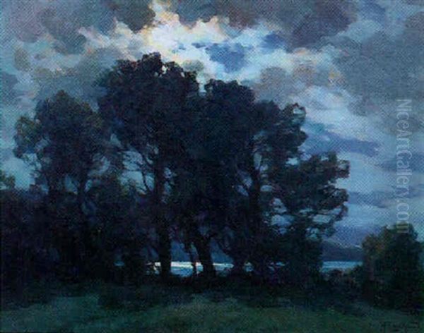 Ciel Du Soir Mouvemente Sur Les Chenes Et L'etang Oil Painting by Francois Charles Cachoud