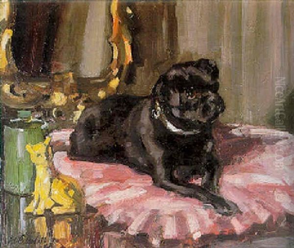 The Shambellie Pug Oil Painting by Francis Campbell Boileau Cadell