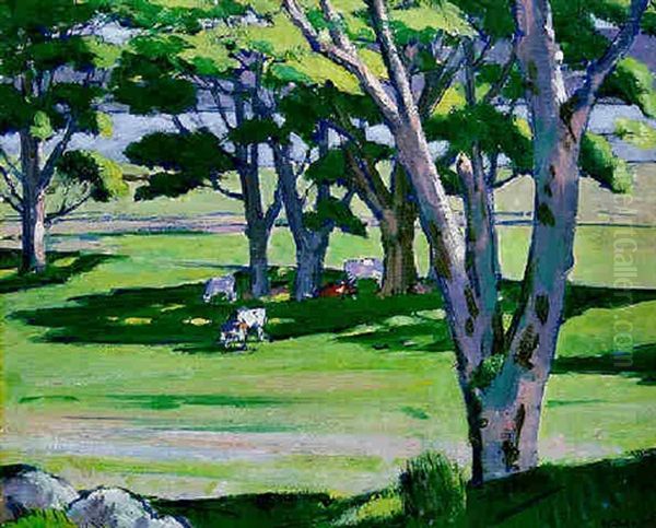 Summer In The Park Oil Painting by Francis Campbell Boileau Cadell