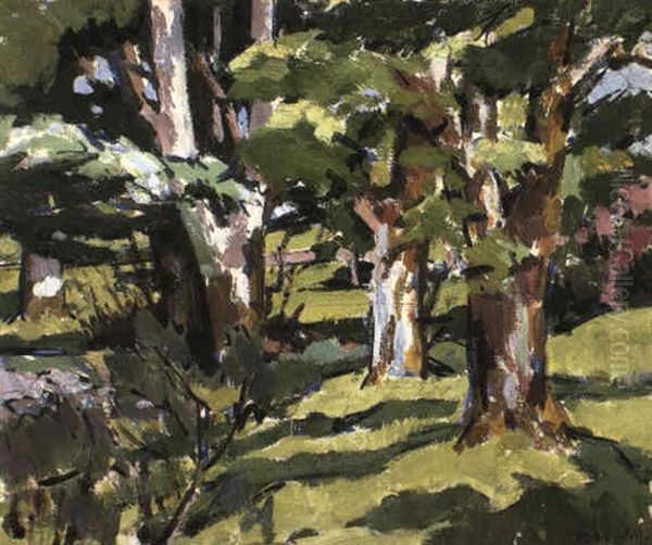 Trees, Auchnacraig Oil Painting by Francis Campbell Boileau Cadell