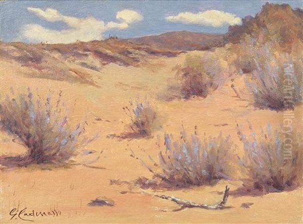 Pink Desert Oil Painting by Giuseppe Cadenasso