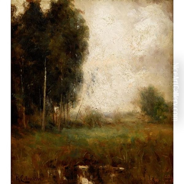 Spring Landscape With Marsh Oil Painting by Giuseppe Cadenasso