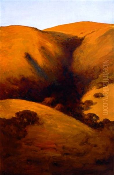 Sunlight Leona Heights, Oakland (no.120) Oil Painting by Giuseppe Cadenasso