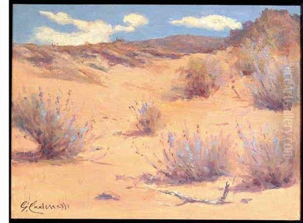 Desert Clouds Oil Painting by Giuseppe Cadenasso