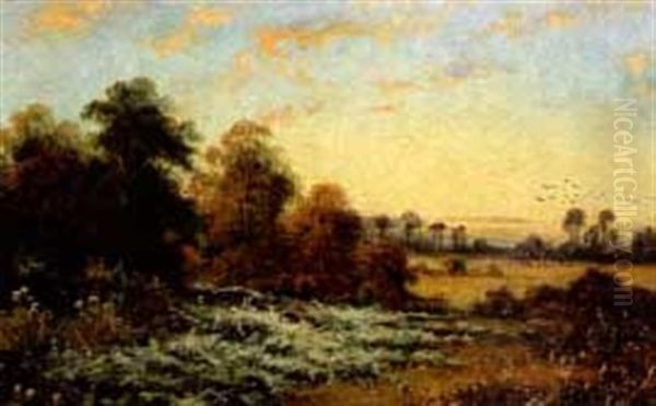 Meadow Landscape With Birds Oil Painting by Walter Wallor Caffyn