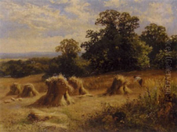 Harvesting At Winchfield Oil Painting by Walter Wallor Caffyn