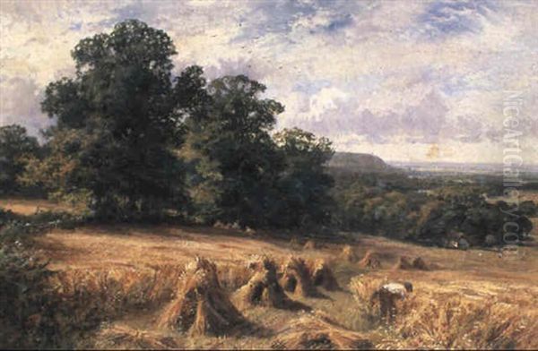 Harvesting Near Ewhurst, Surrey Oil Painting by Walter Wallor Caffyn