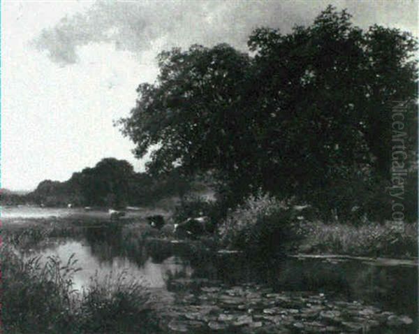 Cattle Watering At A River Oil Painting by Walter Wallor Caffyn