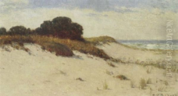 San Dunes, Cape Cod by Charles Drew Cahoon