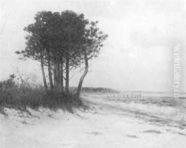 Cape Cod Beach Scene With Cluster Of Trees And Dock by Charles Drew Cahoon