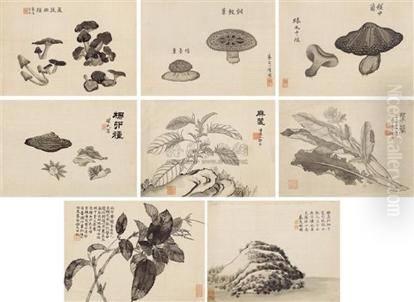 Album Of Ink Plants (album W/8 Works) Oil Painting by  Cai Shou