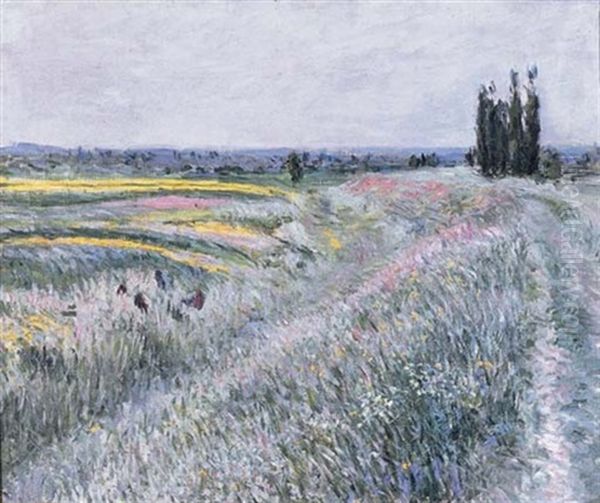 La Plaine De Gennevilliers, Groupe De Peupliers Oil Painting by Gustave Caillebotte