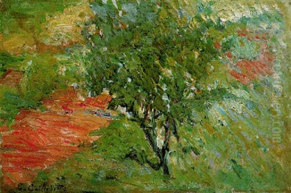 Arbre Au Bord D'un Sentier Oil Painting by Gustave Caillebotte