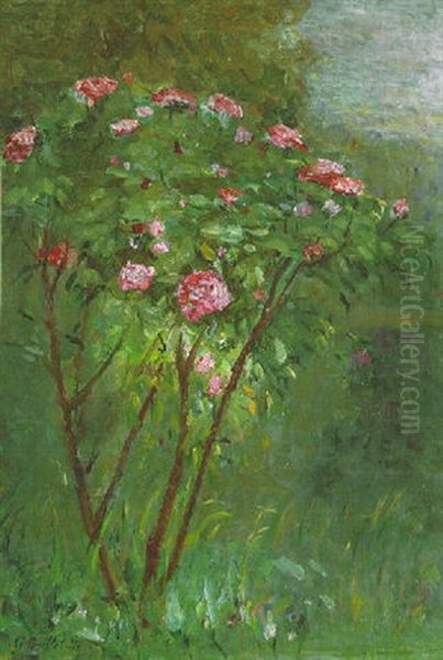 Le Rosier Fleuri Oil Painting by Gustave Caillebotte