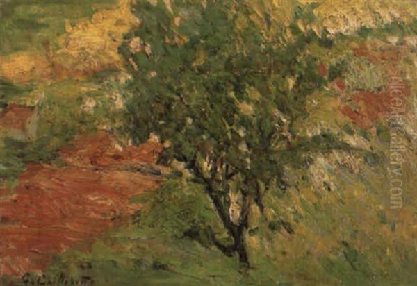 Arbre Au Bord D'un Sentier Oil Painting by Gustave Caillebotte