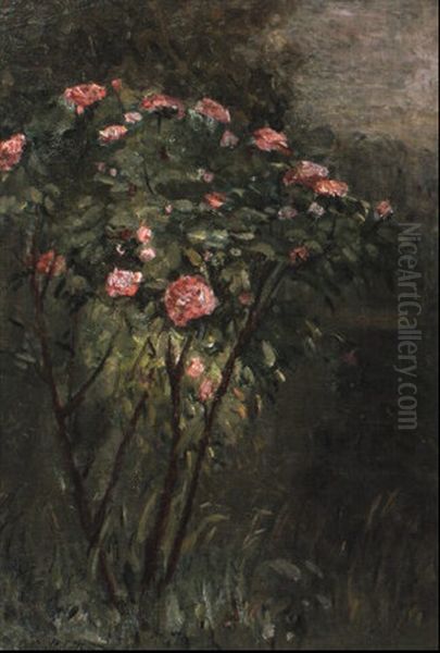 Le Rosier Fleuri Oil Painting by Gustave Caillebotte