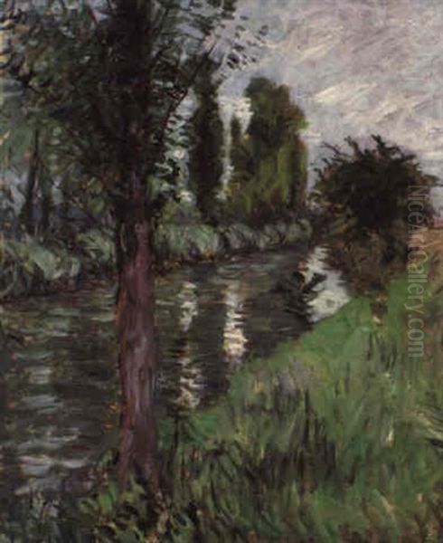 Saules Au Bord D'une Riviere Oil Painting by Gustave Caillebotte