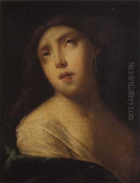 Jeune Femme A La Perle, Cleopatre (?) Oil Painting by Francesco del Cairo