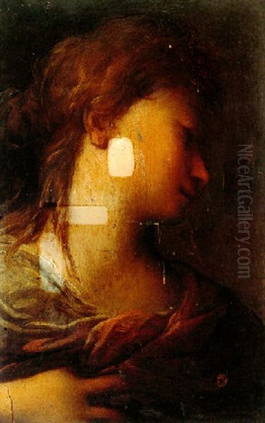 Head Of A Young Woman In Profile Oil Painting by Francesco del Cairo