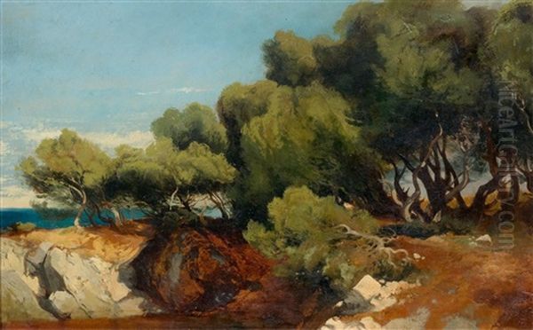 Pine Trees By The Sea  (+ Tree Study, Verso) Oil Painting by Alexandre Calame