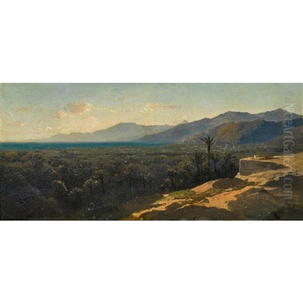 Bois D'oliviers Et Palmiers A Cannes Oil Painting by Alexandre Calame