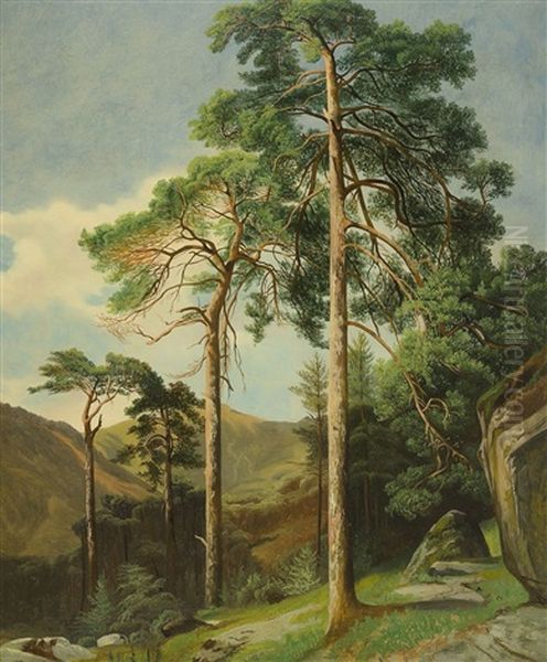 Pins Oil Painting by Alexandre Calame