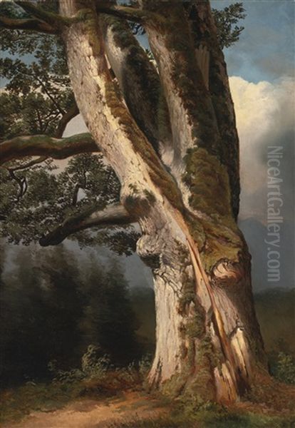 An Oaktree Trunk Oil Painting by Alexandre Calame