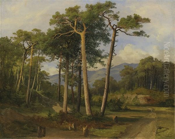 Pins Dans La Foret De Finges Oil Painting by Alexandre Calame