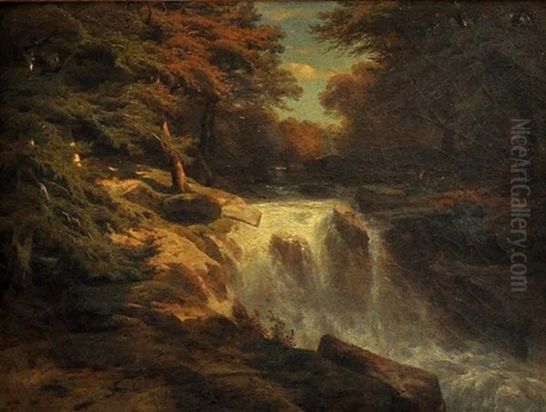 Forest Cascade by Alexandre Calame