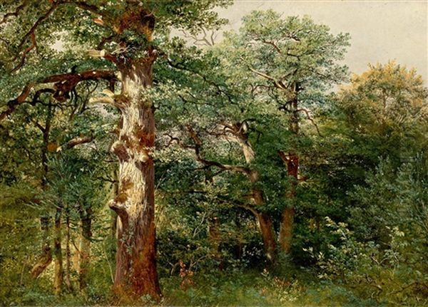 Chenes, Dans La Foret De Sauvabelin Oil Painting by Alexandre Calame