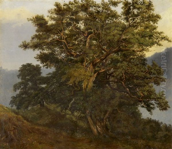 Baum Mit Weg Oil Painting by Alexandre Calame