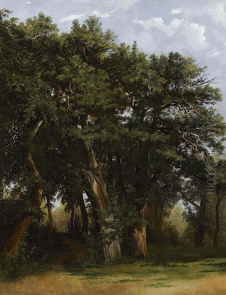 Groupe De Chenes (group Of Oak Trees) Oil Painting by Alexandre Calame