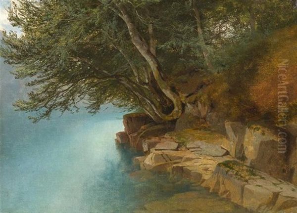 Bord De Lac Et Branches Pliees L'eau Oil Painting by Alexandre Calame