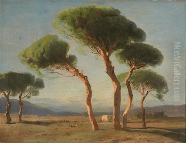 Pinien In Der Campagna Oil Painting by Alexandre Calame