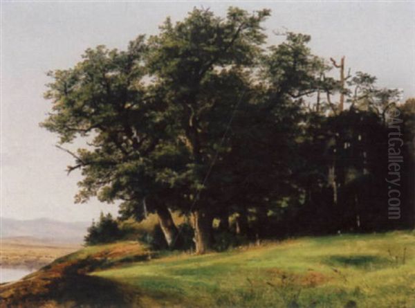 Baumbestandene Anhohe Mit Blick Auf Einen See Oil Painting by Alexandre Calame