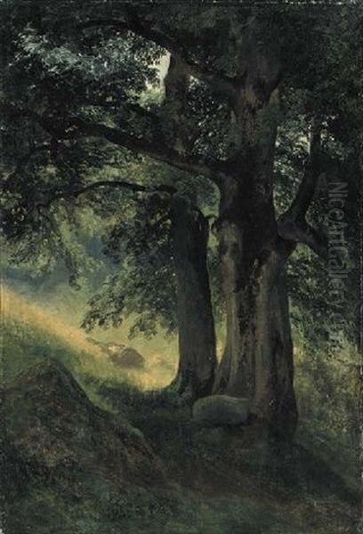 A Study Of Two Tree Trunks In A Wood by Alexandre Calame