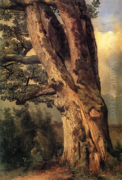 A Tree Trunk Oil Painting by Alexandre Calame