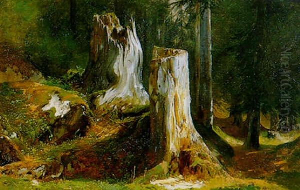 Souches D'arbres Oil Painting by Alexandre Calame