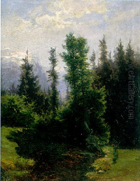 Foret De Sapins Et Petit Personnage Qui Porte Du Bois Oil Painting by Alexandre Calame