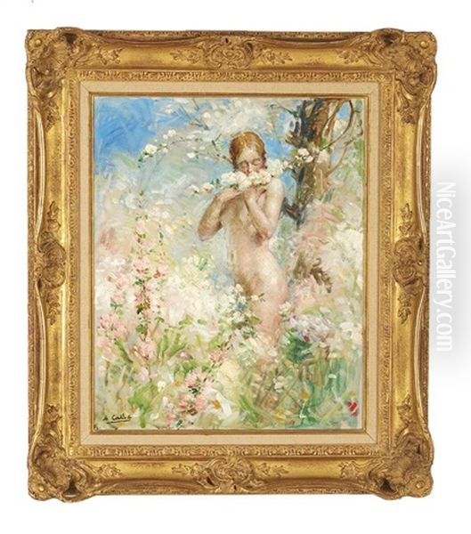 Woman In A Garden Oil Painting by Antoine Calbert