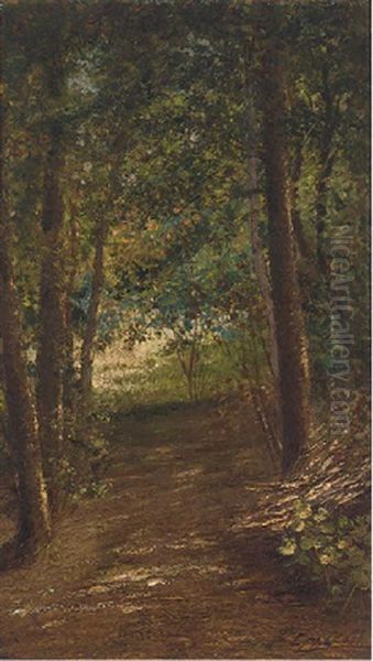 A Quiet Woodland Track Oil Painting by Cesare Calchi Novati