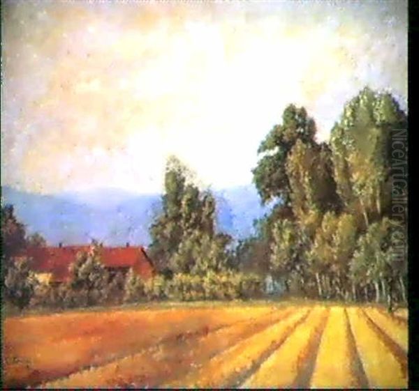 Campi Di Grano Oil Painting by Marco Calderini