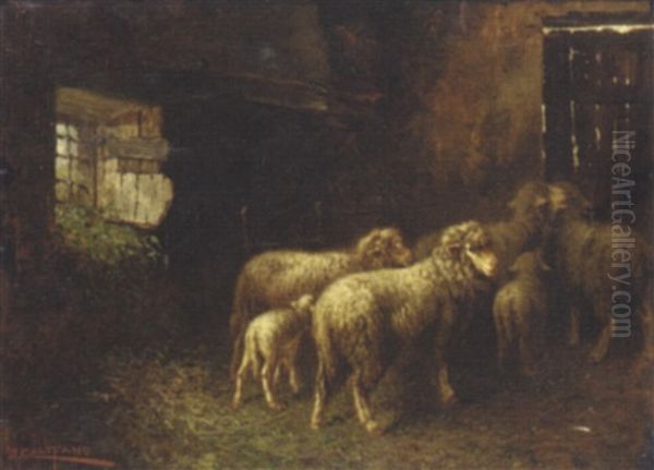 Sheep In A Barn Oil Painting by John (Giovanni) Califano